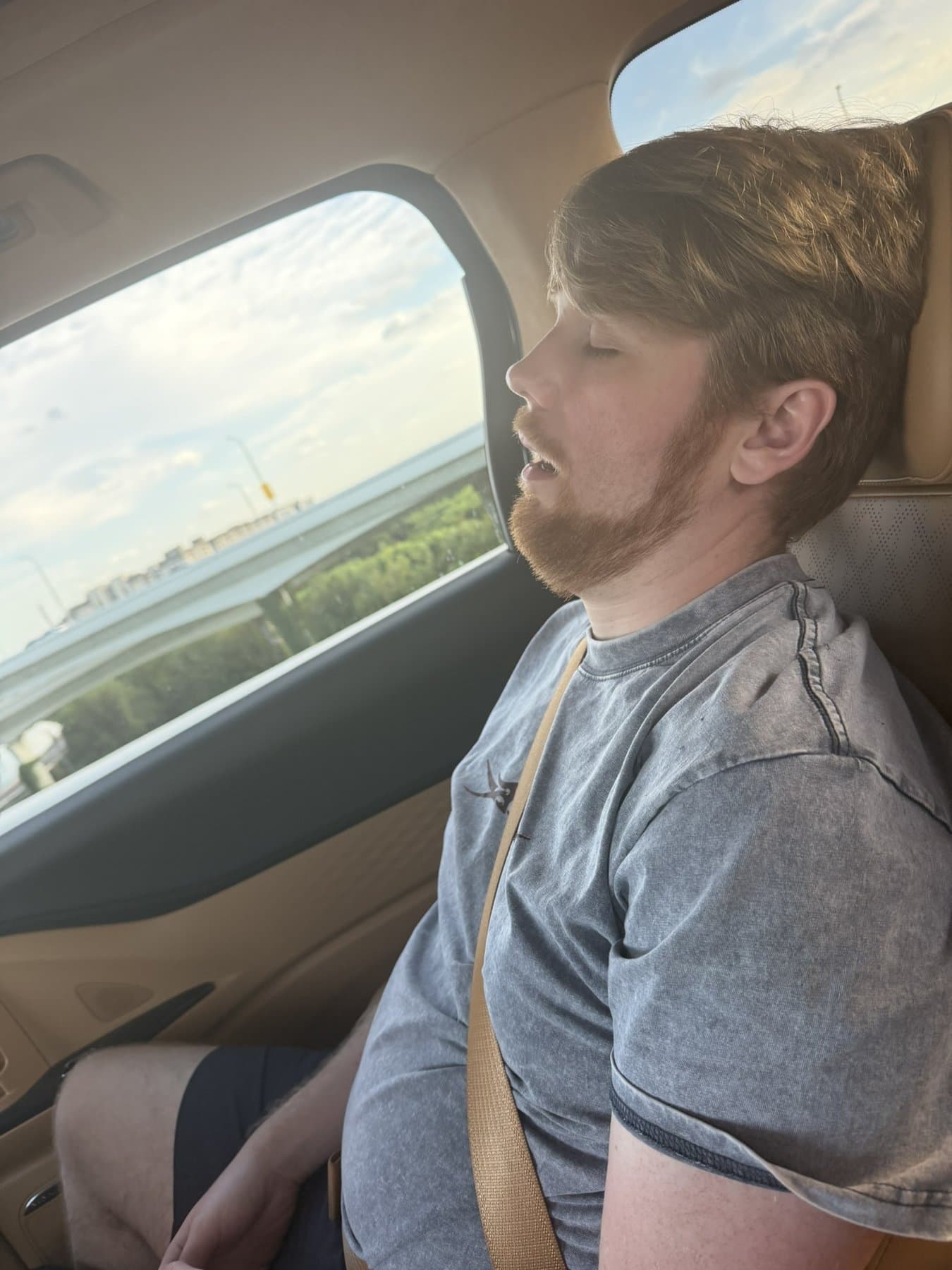 Frank asleep in the back seat of a car, mouth slightly open, elevated highway visible through the window